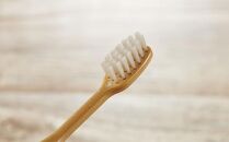 MEGURU 竹の歯ブラシ ひまし樹脂毛 4本セット