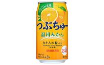 サンガリア つぶちゅー温州みかん３４０ｍl×24本  非炭酸