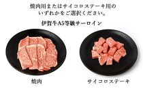 伊賀牛 A5 ヒレ・サーロイン・イチボ 焼肉セットA 計約1kg【最高級部位3種食べ比べ】