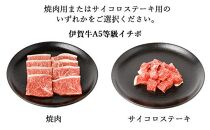 伊賀牛 A5 ヒレ・サーロイン・イチボ 焼肉セットA 計約1kg【最高級部位3種食べ比べ】