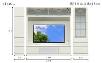 ヴァイス 幅280cm 壁面収納セット テレビボード テレビ台 コレクションボード キャビネット リビング収納 ガラス棚 高級 大川家具 LEDライト【開梱設置】