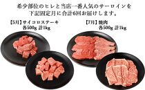 【年6回】伊賀牛 A5ヒレ・サーロイン 定期便A 総合計約6.1kg