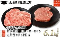 【年6回】伊賀牛 A5ヒレ・サーロイン 定期便A 総合計約6.1kg