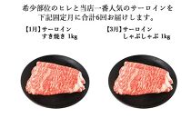 【年6回】伊賀牛 A5ヒレ・サーロイン 定期便A 総合計約6.1kg