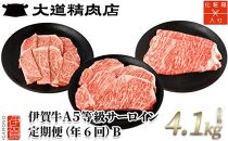 【年6回】伊賀牛 A5サーロイン 定期便コースB 総合計約4.1kg