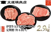 【年6回】伊賀牛 A5サーロイン 定期便コースC 総合計約2.9kg