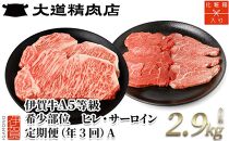 【年3回】伊賀牛 A5ヒレ・サーロイン 定期便A 総合計約2.9kg