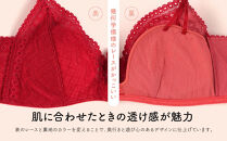 【ウンナナクール】364&nbsp;レース＜Sサイズ＞ブラック1枚｜京都&nbsp;ワコール&nbsp;インナーブランド&nbsp;ラクときれいを叶えるノンワイヤーブラジャー&nbsp;人気［&nbsp;毎日つけたい&nbsp;ブラジャー&nbsp;楽&nbsp;きれい&nbsp;人気&nbsp;おすすめ&nbsp;下着&nbsp;レディース&nbsp;肌着&nbsp;ギフト&nbsp;プレゼント&nbsp;お取り寄せ&nbsp;通販&nbsp;送料無料&nbsp;ふるさと納税&nbsp;］