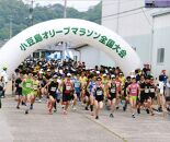 第46回　小豆島オリーブマラソン全国大会　出走権　1名様分【ハーフマラソンコース】（参加賞付き）