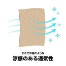 【鎌倉天幕】ふるさと納税限定品 CAMP CUSTOM 220TC 自立式タープ・フレームセット KTM220 / KTFM220-BK  