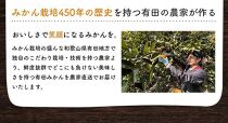 ご家庭用 濃厚 完熟 有田 みかん 5kg【先行予約 2024年11月下旬～12月中旬発送】【訳あり】【農家直送】