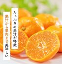 ご家庭用 濃厚 完熟 有田 みかん 5kg【先行予約 2024年11月下旬～12月中旬発送】【訳あり】【農家直送】