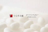 【うらそえ織 × printemps 】タティングレース accessory (white)