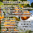 有田みかん［特秀品M~L、高糖度］約10kg!［2025年10月から12月下旬頃順次発送］