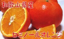 農家直送！爽快柑橘　ご家庭用セミノールオレンジ5kg【2023年4月～発送】【春の美味】【先行予約】