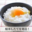 【令和7年産】福岡県産米食べ比べ＜白米＞セット「夢つくし」と「元気つくし」2種類&nbsp;計10kg