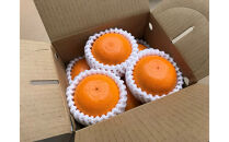 ［4箱セット］甘っ子&nbsp;小玉&nbsp;ハウス&nbsp;せとか&nbsp;9玉入&nbsp;×&nbsp;4箱&nbsp;手さげ箱&nbsp;南泰園