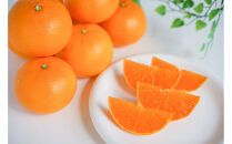 ［4箱セット］甘っ子&nbsp;小玉&nbsp;ハウス&nbsp;せとか&nbsp;9玉入&nbsp;×&nbsp;4箱&nbsp;手さげ箱&nbsp;南泰園