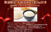 【大府市産お米1kg付】エアウィーヴ ピロー スタンダード 2個セット 【 エアウィーブ 枕 寝具 有名 マクラ エアウィーヴ 高さ調整可能 通気性抜群 エアウィーヴ まくら 快眠枕 洗える 水洗い エアウイーヴ ギフト プレゼント エアウィーブ しんぐ makura airweave エアウィーブ枕 エアウィーヴ エアウィーヴ エアウィーヴ エアウィーヴ エアウィーブ エアウィーブ 枕 】