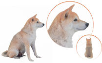 ペットの３Dスキャンと３Dフルカラープリントによる造形（フィギュア）長辺５cm&nbsp;|&nbsp;ペット&nbsp;3Dスキャン&nbsp;犬&nbsp;猫&nbsp;記念&nbsp;ギフト&nbsp;オーダーメイド&nbsp;思い出&nbsp;人気&nbsp;おすすめ&nbsp;送料無料&nbsp;東京&nbsp;中野区