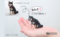 ペットの３Dスキャンと３Dフルカラープリントによる造形（フィギュア）長辺７cm&nbsp;|&nbsp;ペット&nbsp;3Dスキャン&nbsp;犬&nbsp;猫&nbsp;記念&nbsp;プレゼント&nbsp;オーダーメイド&nbsp;思い出&nbsp;人気&nbsp;おすすめ&nbsp;送料無料&nbsp;東京&nbsp;中野区