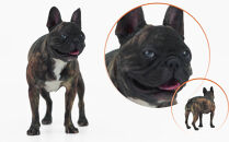 ペットの３Dスキャンと３Dフルカラープリントによる造形（フィギュア）長辺１３cm&nbsp;|&nbsp;ペット&nbsp;3Dスキャン&nbsp;犬&nbsp;猫&nbsp;記念&nbsp;プレゼント&nbsp;ギフト&nbsp;オーダーメイド&nbsp;思い出&nbsp;人気&nbsp;おすすめ&nbsp;送料無料&nbsp;東京&nbsp;中野区