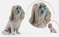 ペットの３Dスキャンと３Dフルカラープリントによる造形（フィギュア）長辺１３cm&nbsp;|&nbsp;ペット&nbsp;3Dスキャン&nbsp;犬&nbsp;猫&nbsp;記念&nbsp;プレゼント&nbsp;ギフト&nbsp;オーダーメイド&nbsp;思い出&nbsp;人気&nbsp;おすすめ&nbsp;送料無料&nbsp;東京&nbsp;中野区