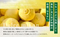 【訳あり】もりの農園 完熟はるか 3kg ドルチェみかん フルーツ