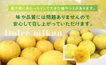 【訳あり】もりの農園 完熟はるか 3kg ドルチェみかん フルーツ