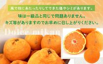 【訳あり】もりの農園 完熟しらぬひ （不知火）3kg