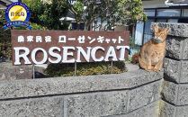 バラと猫に癒やされるローゼンキャット宿泊プラン（1名様）