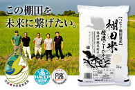 米 コシヒカリ 佐渡産 ( 5kg ) 棚田米 佐渡市歌見地区【令和7年米】