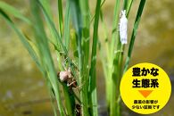 米&nbsp;コシヒカリ&nbsp;佐渡産&nbsp;(&nbsp;5kg&nbsp;)&nbsp;棚田米&nbsp;佐渡市歌見地区【令和7年米】