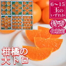 定期便&nbsp;春に楽しむ&nbsp;ハウス&nbsp;せとか&nbsp;＆&nbsp;木成&nbsp;完熟&nbsp;有田&nbsp;はっさく&nbsp;特秀&nbsp;セット&nbsp;全2回&nbsp;南泰園