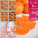 定期便&nbsp;春に楽しむ&nbsp;ハウス&nbsp;せとか&nbsp;＆&nbsp;木成&nbsp;完熟&nbsp;有田&nbsp;はっさく&nbsp;傷あり&nbsp;二級品&nbsp;小箱セット&nbsp;全2回&nbsp;南泰園