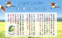 【先行予約】【令和6年産】農薬不使用　佐渡産コシヒカリ　精米5kg