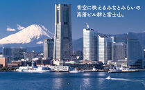 【横浜市】JTBふるさと旅行券（紙券）450,000円分&nbsp;|&nbsp;チケット&nbsp;宿泊券&nbsp;宿泊&nbsp;宿&nbsp;ギフト&nbsp;国内旅行高級&nbsp;人気&nbsp;観光&nbsp;ビジネス&nbsp;出張&nbsp;家族旅行&nbsp;カップル&nbsp;一人旅&nbsp;週末&nbsp;トラベル&nbsp;クーポン&nbsp;