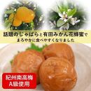 和歌山紀州南高梅　じゃばら蜂蜜梅