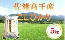 【令和6年産】佐渡高千産こしひかり 5kg