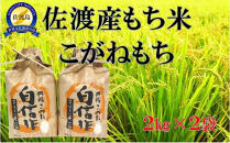 佐渡産もち米 こがねもち 2kg×2袋