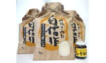 佐渡産高千産こしひかり3kg×3袋(精米)+しそ味噌100gセット