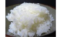 【令和6年産】佐渡高千産こしひかり　精米2kg×2袋　化粧箱入