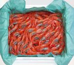佐渡産 南蛮エビ（甘エビ）1,000ｇ