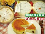 佐渡金銀山セットC