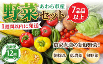 【12ヶ月連続お届け】農家直送 旬の野菜セット 7品目以上 1箱