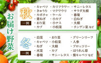 【12ヶ月連続お届け】農家直送 旬の野菜セット 7品目以上 1箱