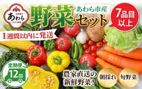 【12ヶ月連続お届け】農家直送 旬の野菜セット 7品目以上 1箱