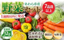 【12ヶ月連続お届け】農家直送 旬の野菜セット 7品目以上 1箱