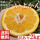 みかん いよかん 伊予柑  2kg ご家庭用　和歌山県有田川町産