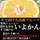 みかん いよかん 伊予柑  2kg ご家庭用　和歌山県有田川町産